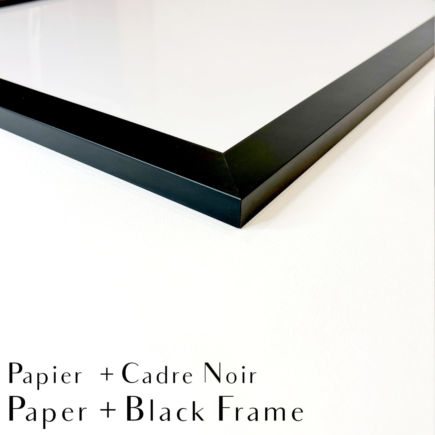 Canada Goose - art print