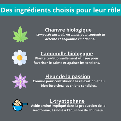 Gâterie calmante pour chien