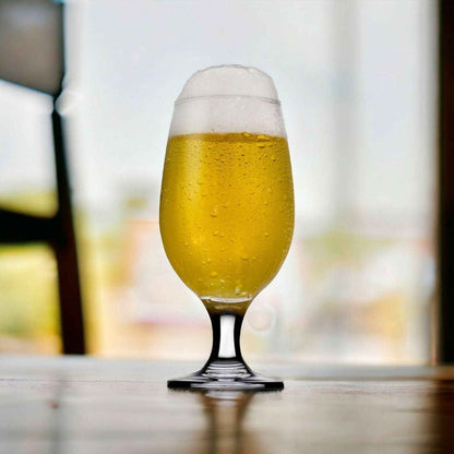 Eva Craft Beer Glass - Set of 4