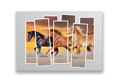 36X24 geteiltes Bild (5)