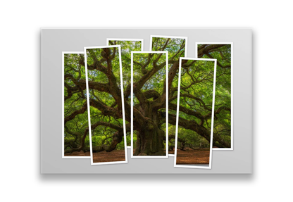 36X24 geteiltes Bild (5)