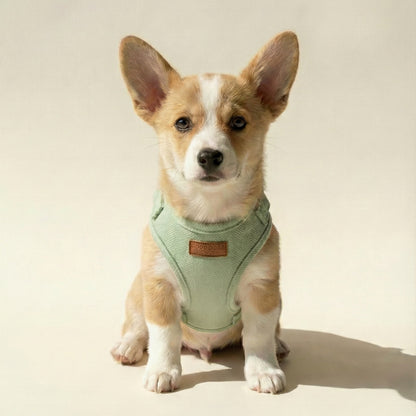 Tweed Harness