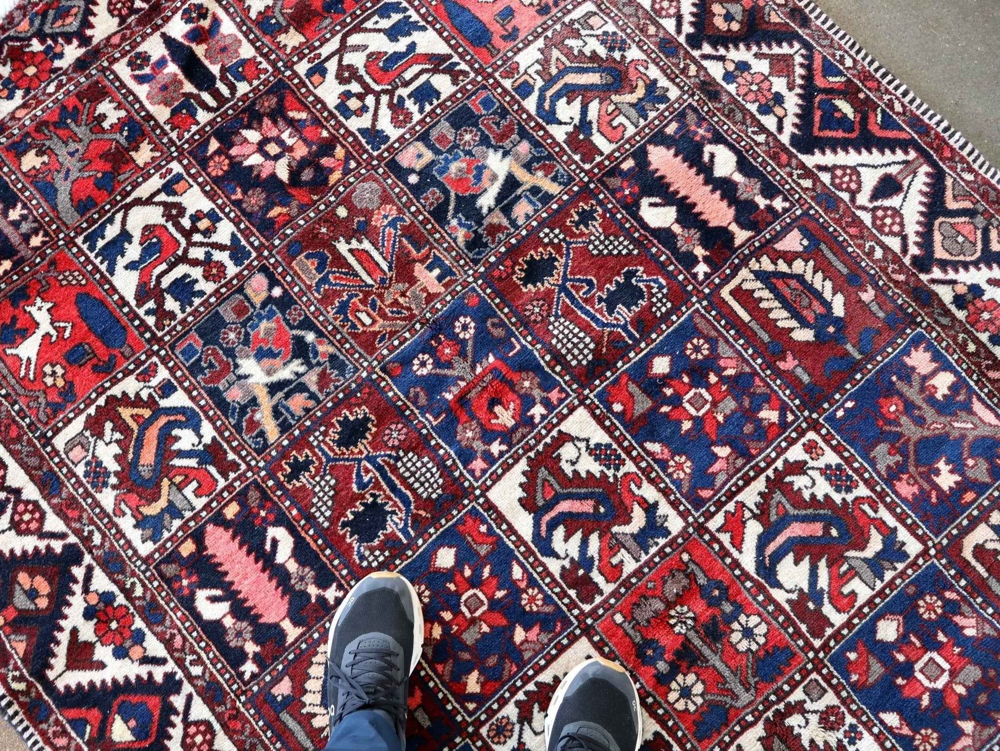 Persian Bakhtiari Rug | 5' 1" x 9' 6"