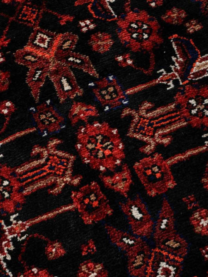 Persian Hamedan Runner Rug | 3' 8” x 9' 10"