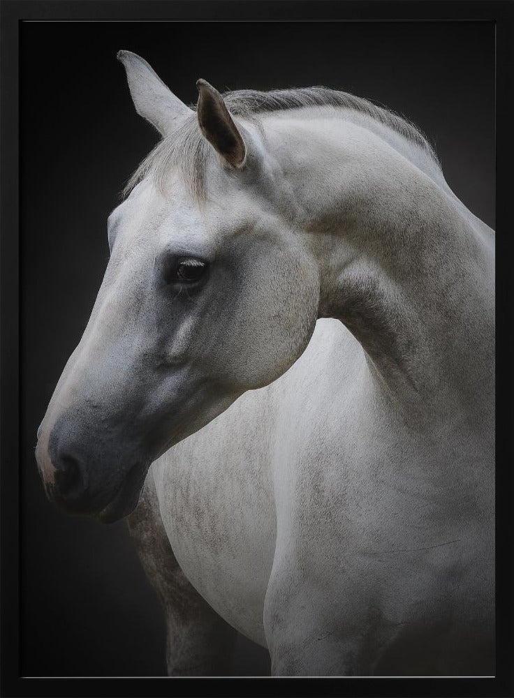 Wandkunst Maggie. Pferd
