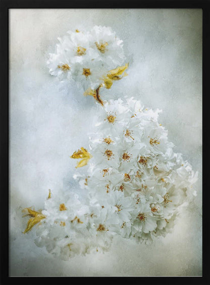 ウォールアート 桜