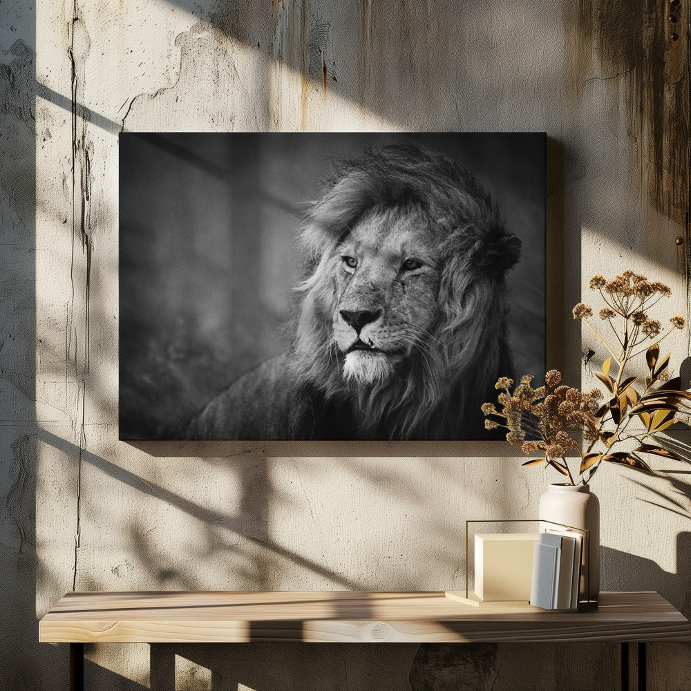 Wandbild Regal. Löwe