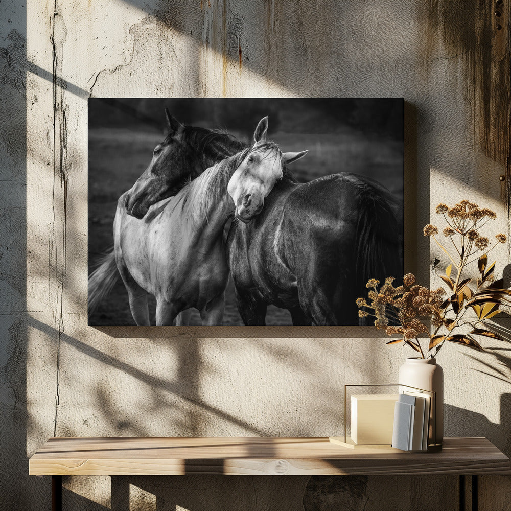 Wandbild Warmer Regen Pferde Leinwandbild