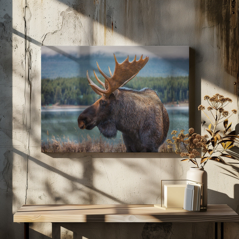 Wandbild Elch