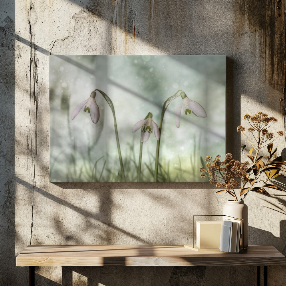 Wandbild-Trio 2
