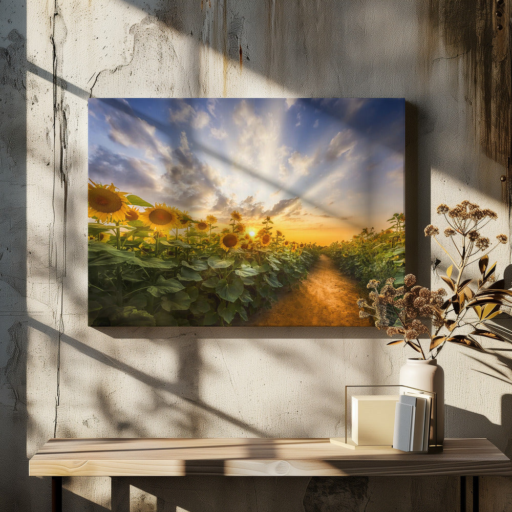 Wall art Path through the sunflower field