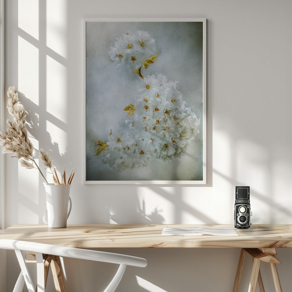 ウォールアート 桜