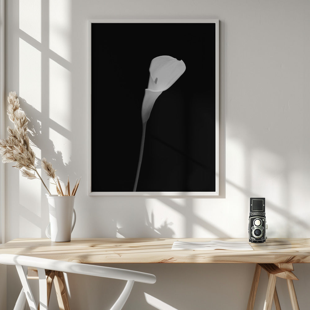 Wandbild Calla | dunkles Design