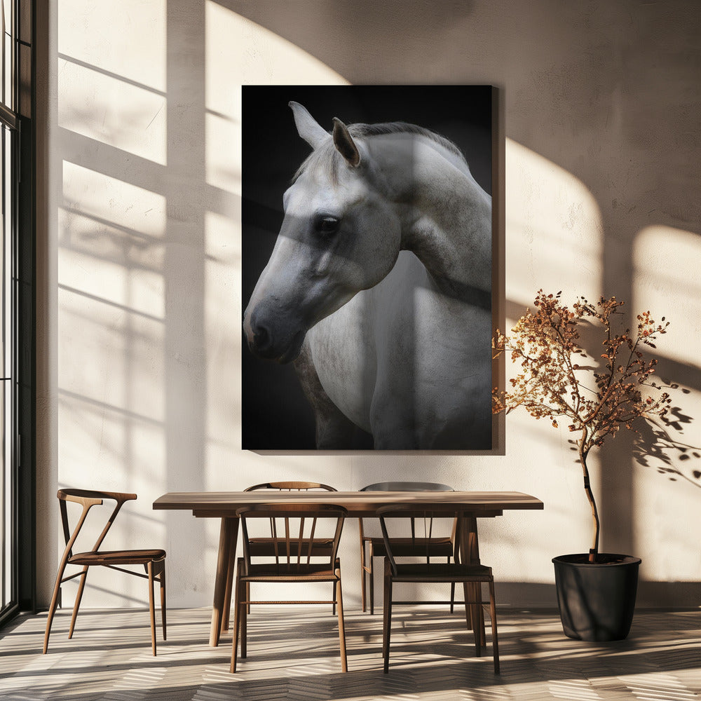 Wandkunst Maggie. Pferd
