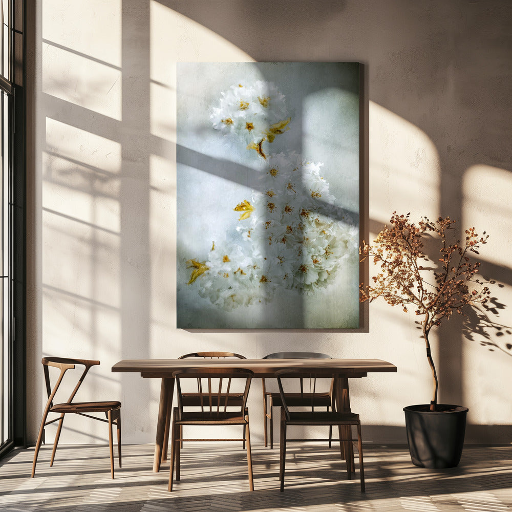 ウォールアート 桜