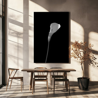 Wandbild Calla | dunkles Design