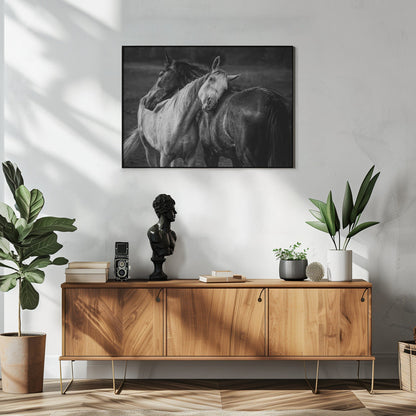 Wandbild Warmer Regen Pferde Leinwandbild