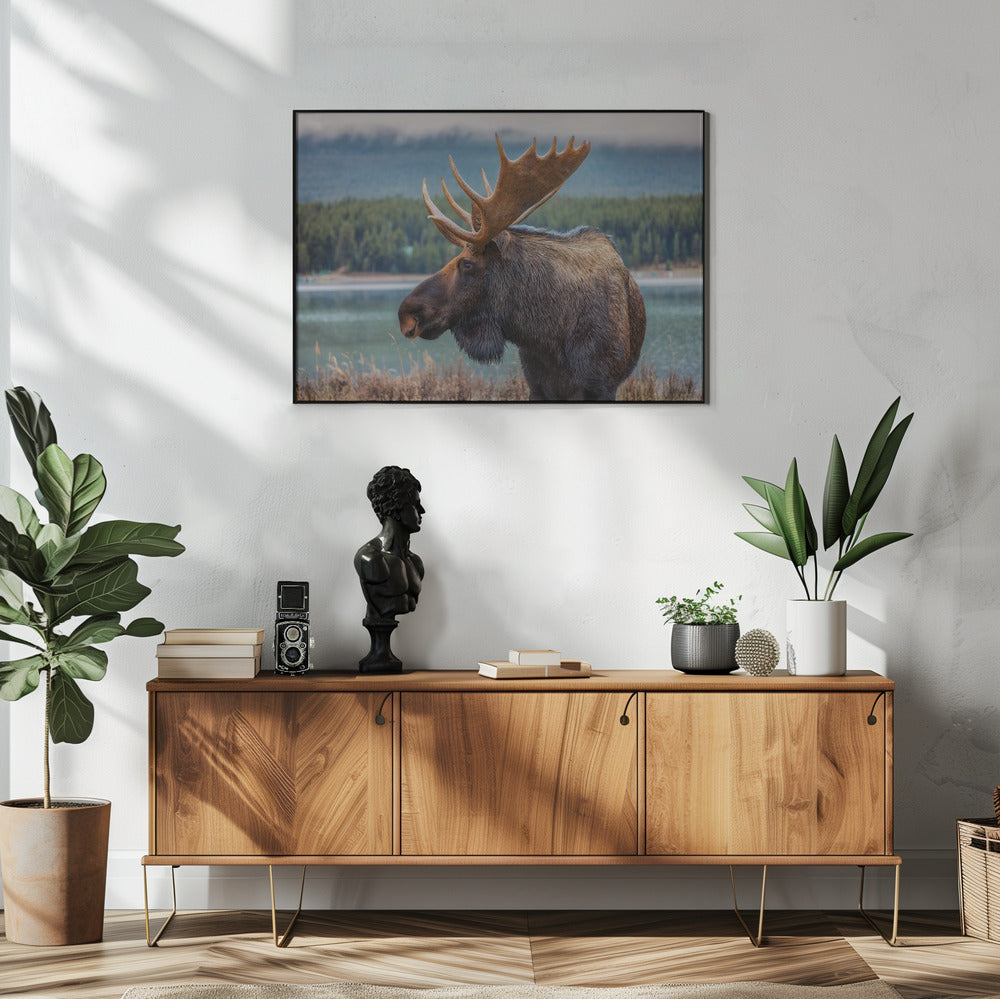 Wandbild Elch