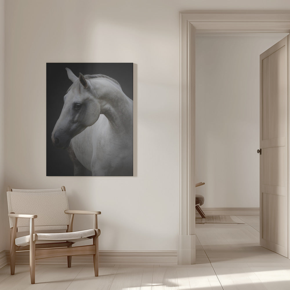 Wandkunst Maggie. Pferd