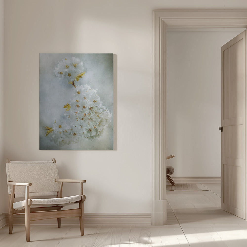 ウォールアート 桜