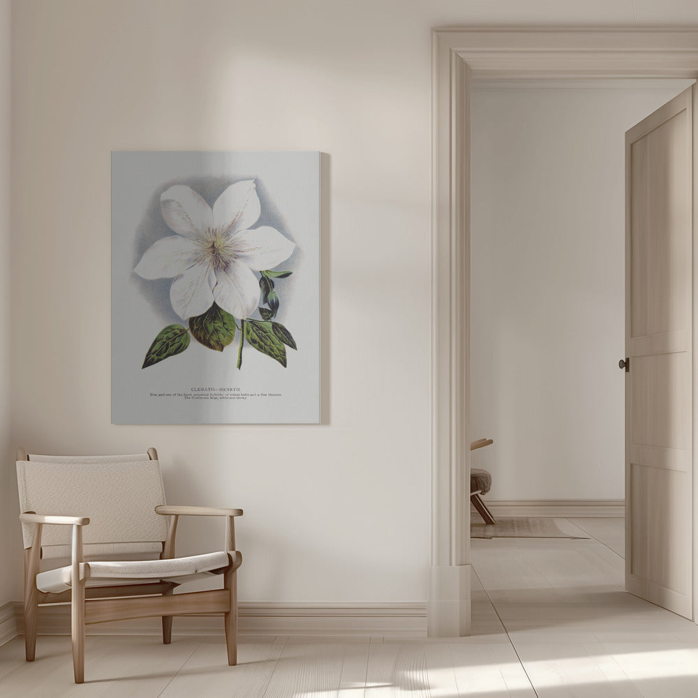 ウォールアート クレマチスの花 リトグラフ
