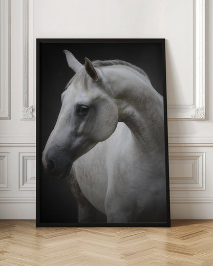 Wandkunst Maggie. Pferd