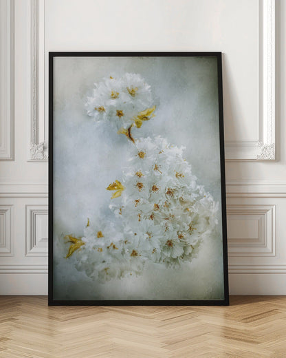 ウォールアート 桜
