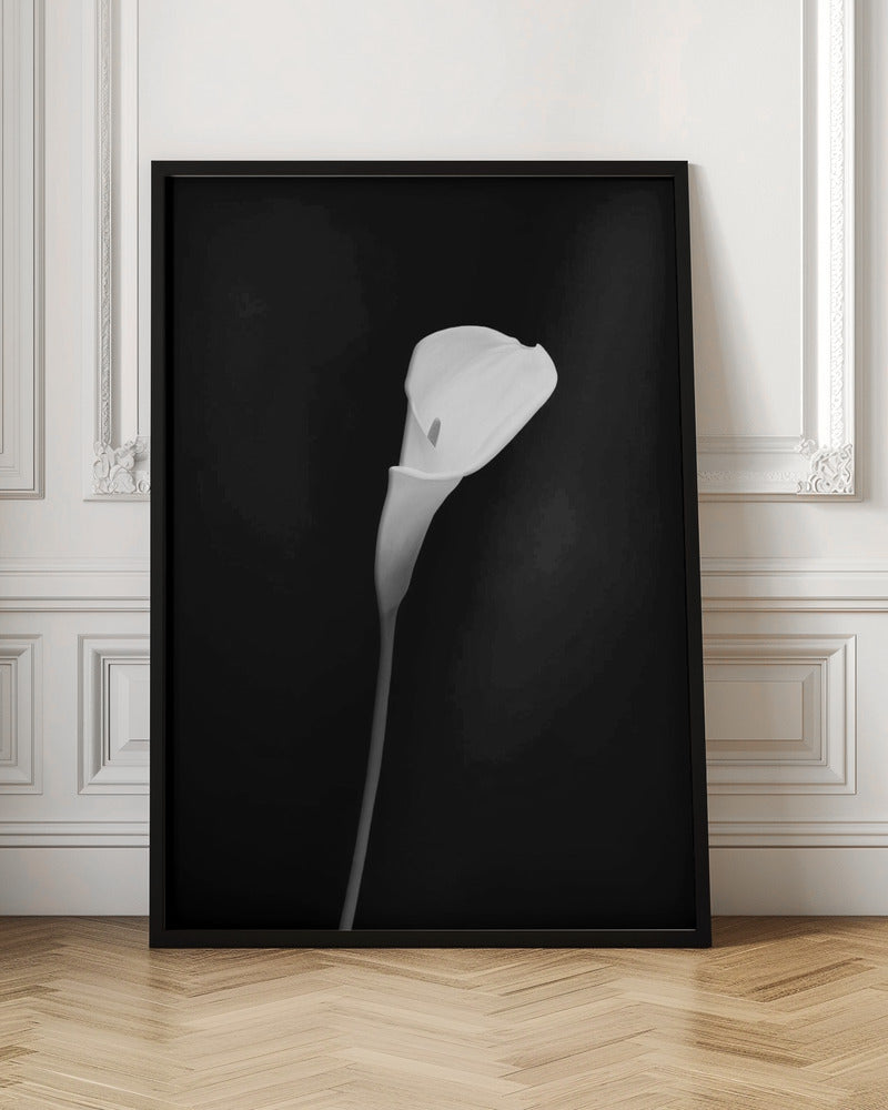 Wandbild Calla | dunkles Design