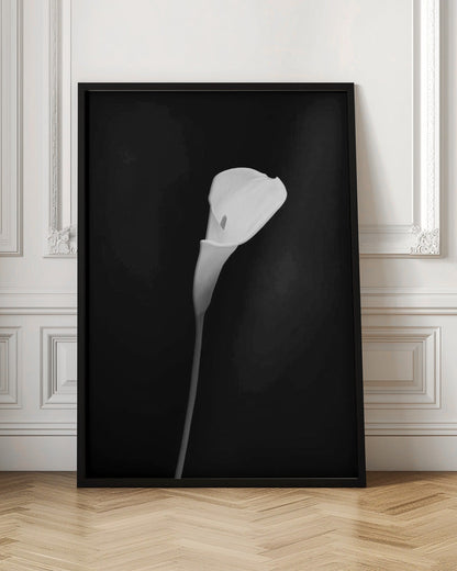 Wandbild Calla | dunkles Design