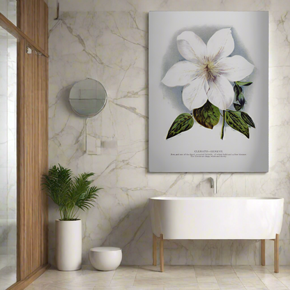 ウォールアート クレマチスの花 リトグラフ