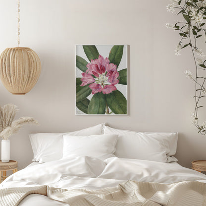Wall Art Mountain Rose Bay (1932)