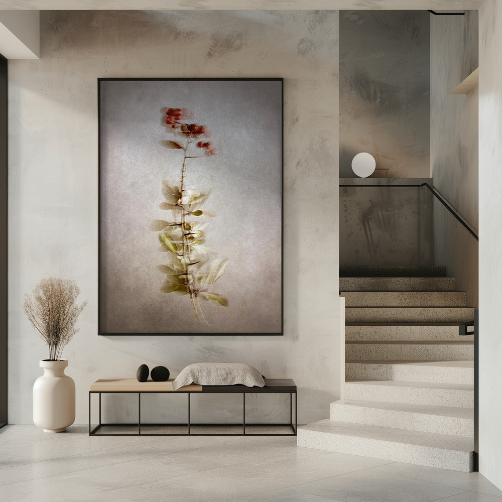 Wall Art Exposed