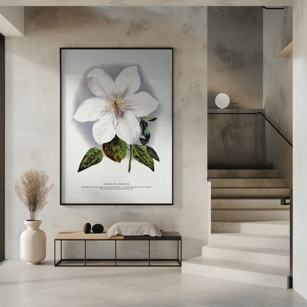 ウォールアート クレマチスの花 リトグラフ