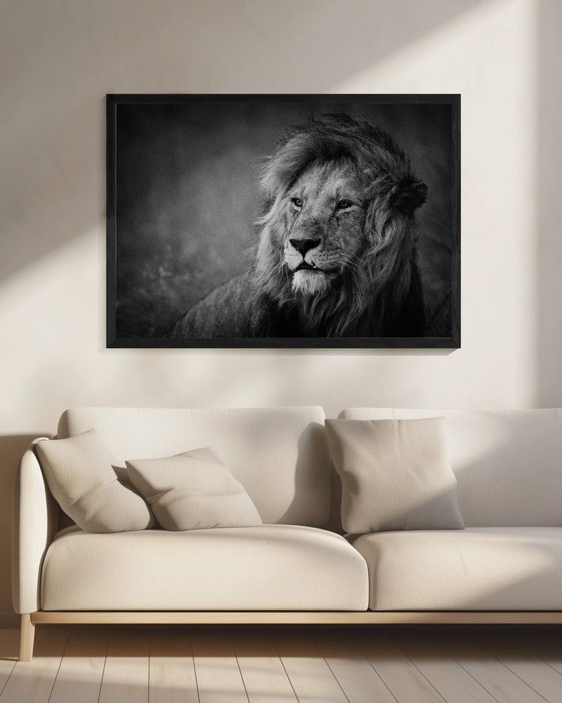 Wandbild Regal. Löwe