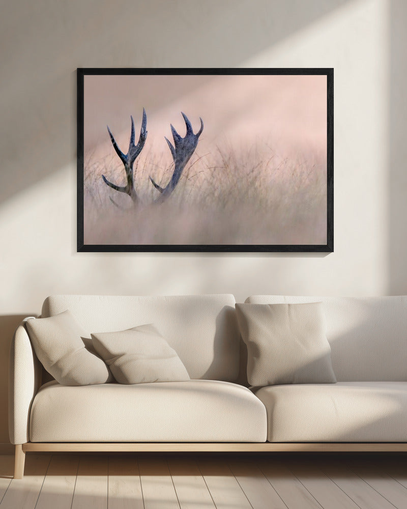 Wandkunst   Verstecken spielen (Horn vom Hirsch)