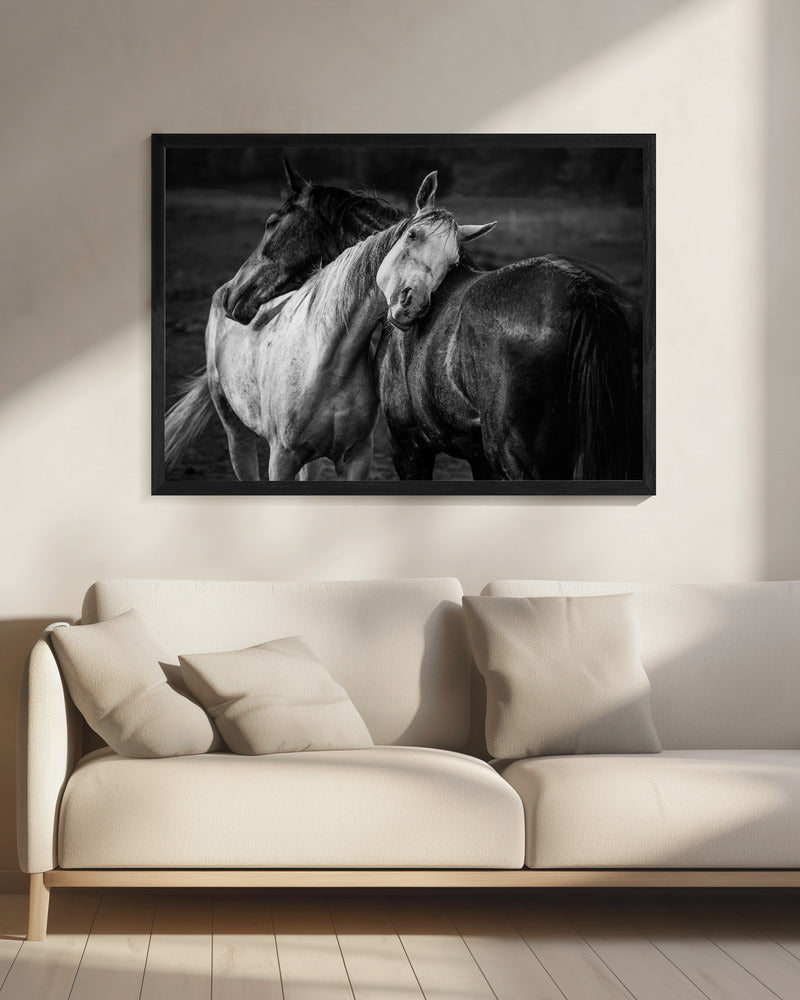 Wandbild Warmer Regen Pferde Leinwandbild