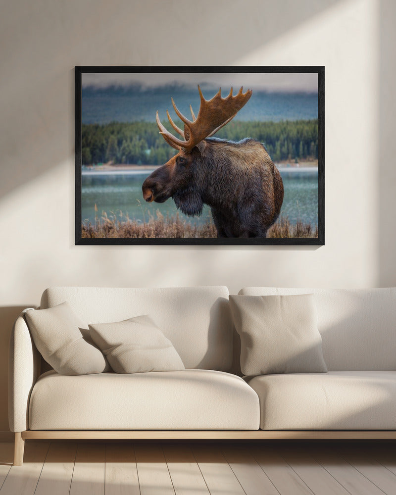 Wandbild Elch
