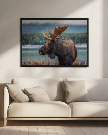Wandbild Elch