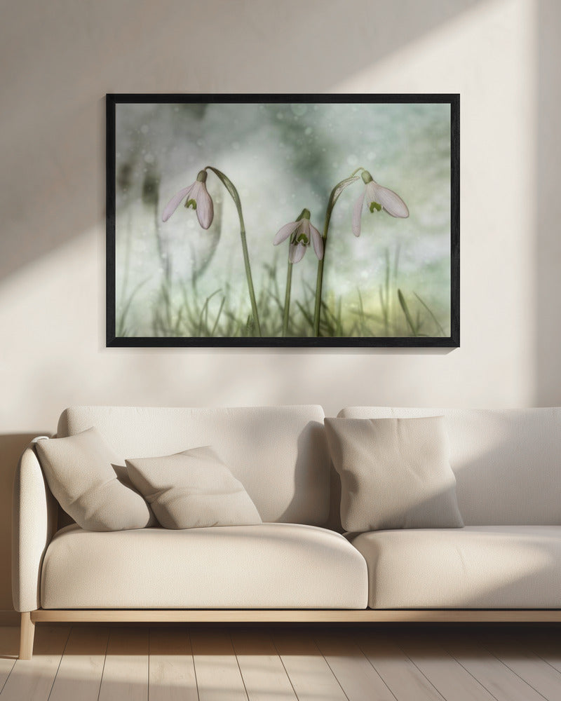 Wandbild-Trio 2