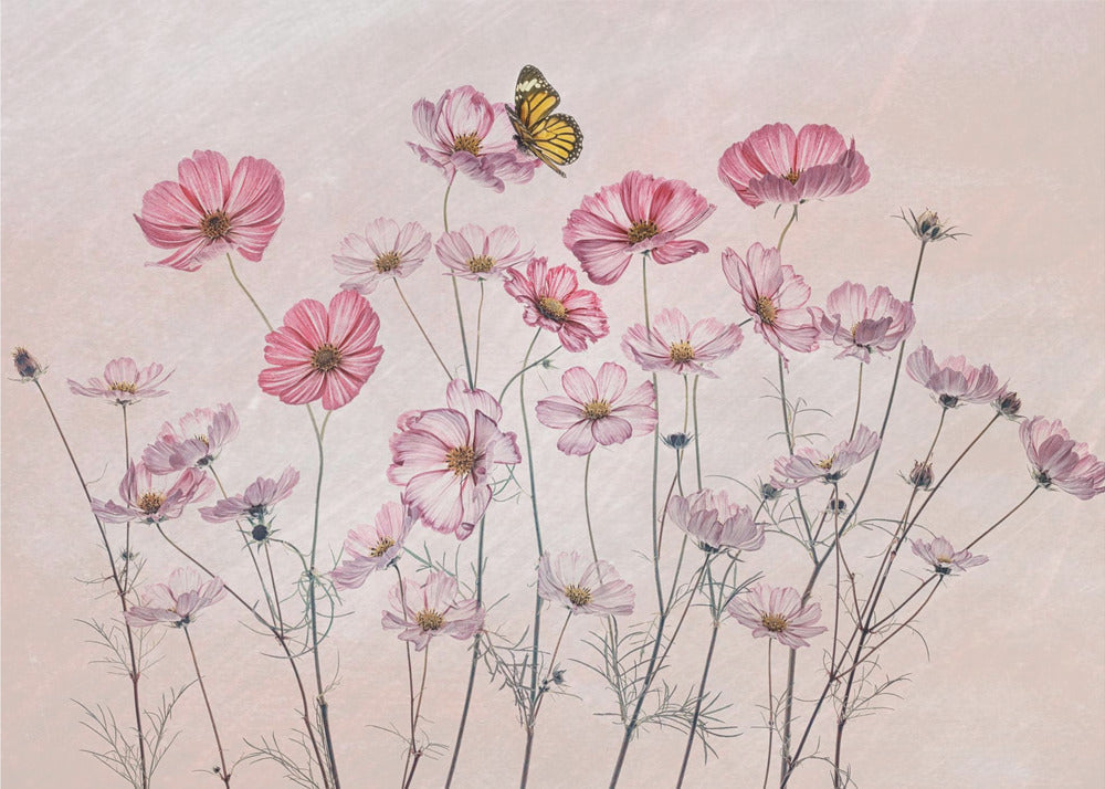 Wandbild Kosmos und Schmetterling