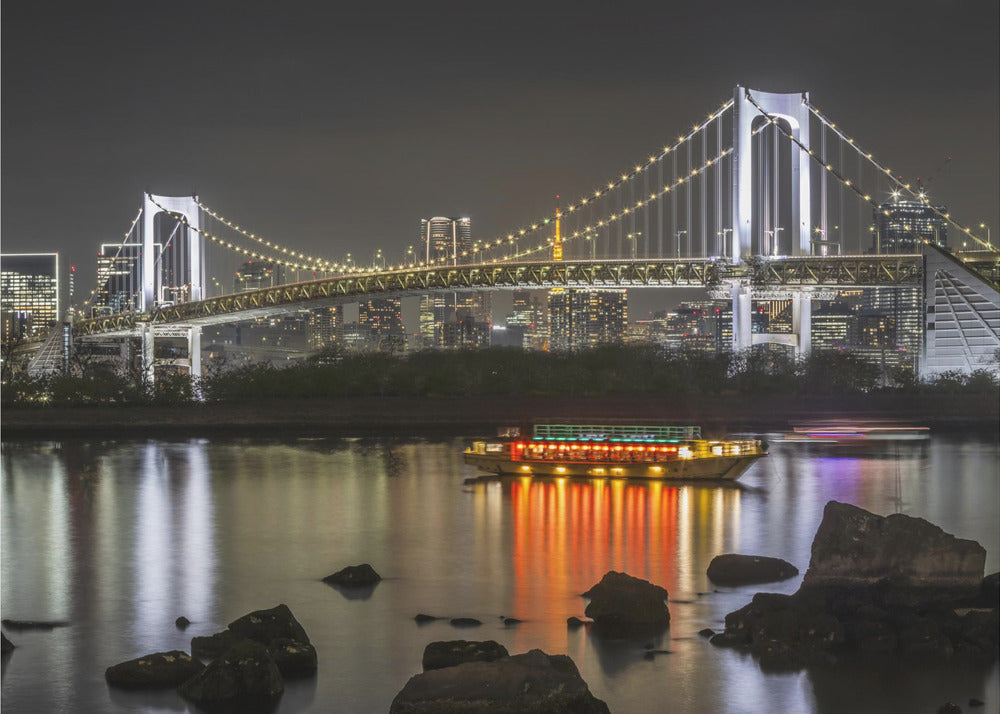 Wandbild Herrliche Regenbogenbrücke mit Tokio-Skyline am Abend