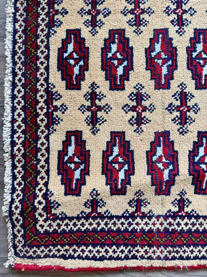 Turkmen Mini Rug | 1' 7" x 3' 3"